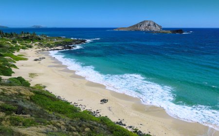 Sailboat sailing during sunset