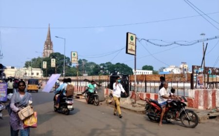 திருச்சியில் மலைக்கோட்டை தெப்பக்குளம் அருகில் உள்ள ஆக்கிரமிப்பு கடைகள் அகற்றப்பட்டது